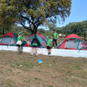 340410115_142676791889554_4591325717350363455_n