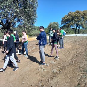 340511242_770644904357564_5092469081133792611_n