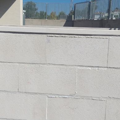 67539161_2270863383175310_4936004234513481728_o