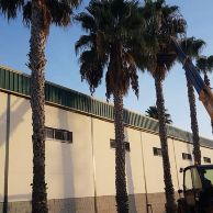 70608089_2299129850348663_2775075393256816640_n