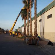 71481720_2299129813682000_4430074760835104768_n