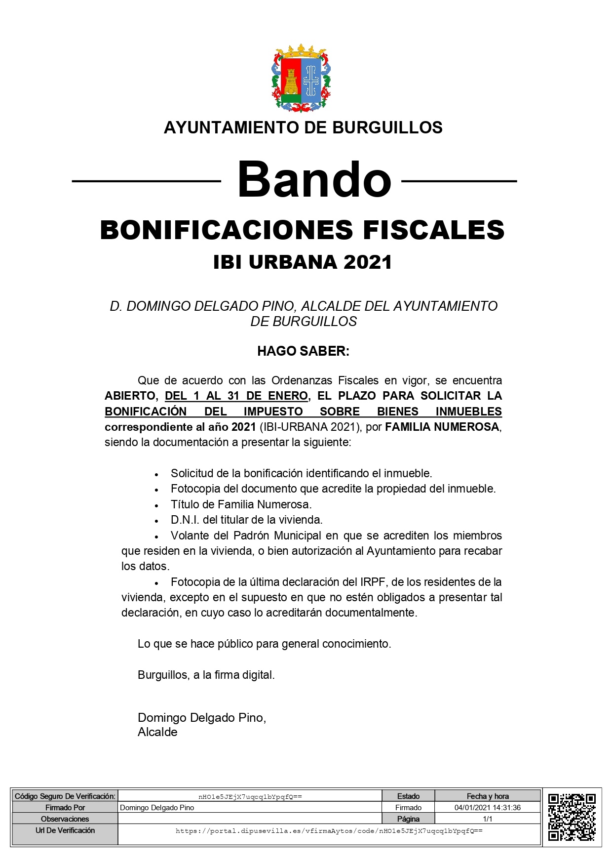 Bando IBI Familia Numerosa 2021_page-0001