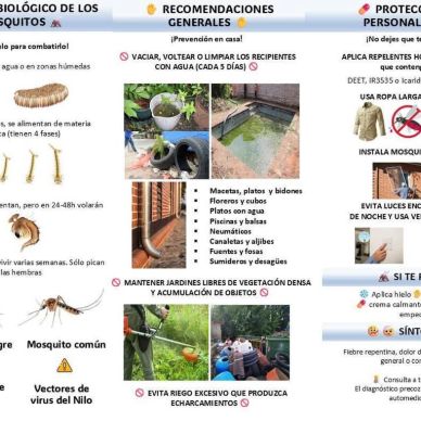 FB_IMG_1747945055857